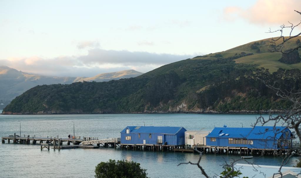 Oinako Bed & Breakfast Akaroa Exteriér fotografie